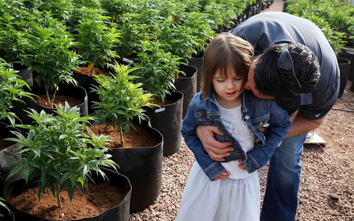 charlottes web strain