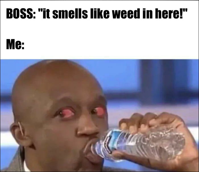 weed meme about day in the office