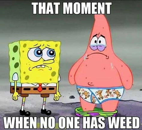 weed meme about no more stash
