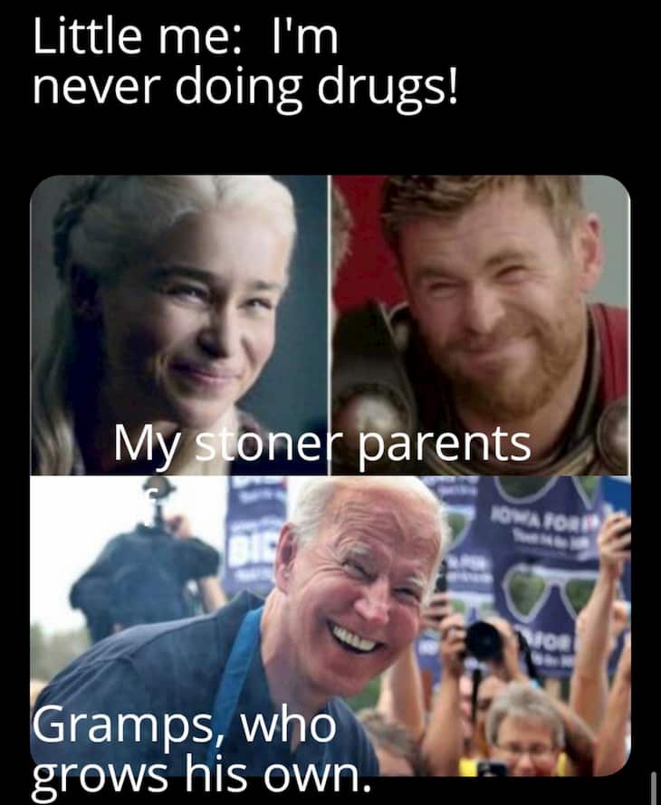 weed meme cannabis