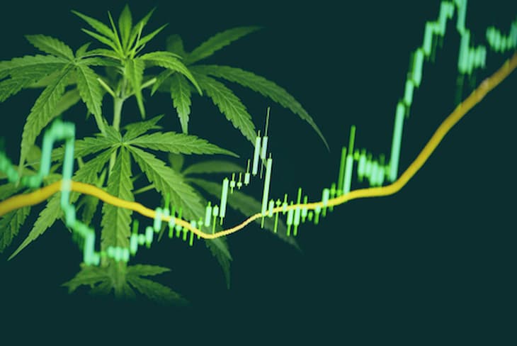 Best cannabis stocks of 2020