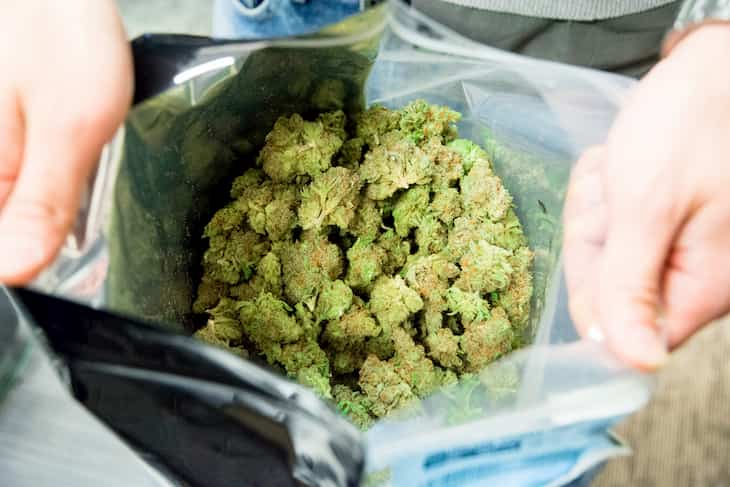 Cannabis in Malta