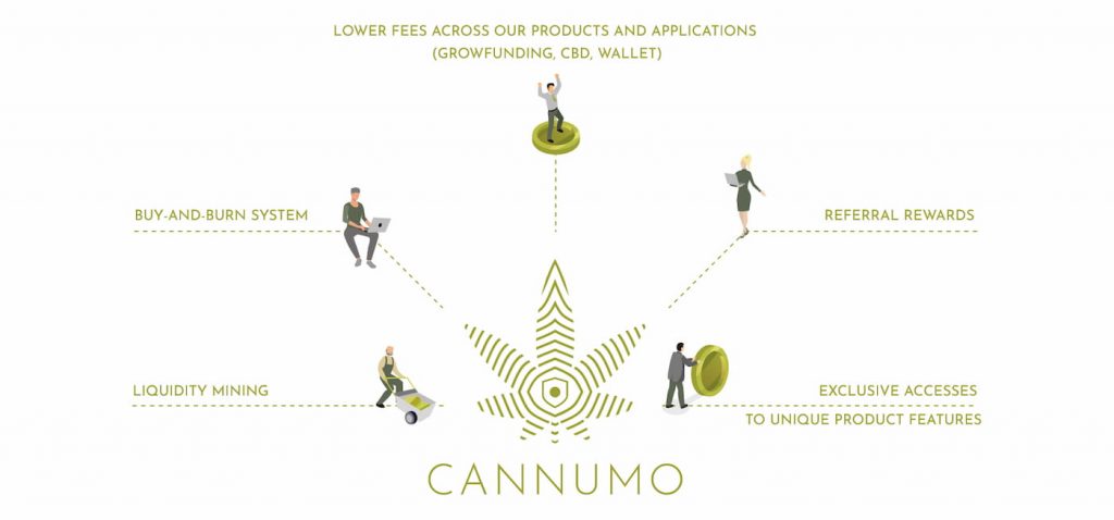 cannumo project 2